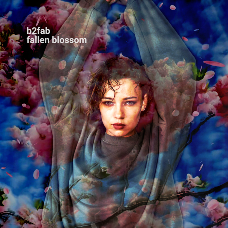 Fallen Blossom Cover